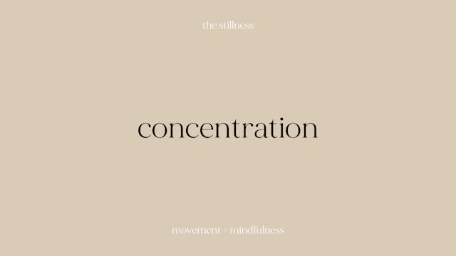 the stillness - concentration (8 mins)