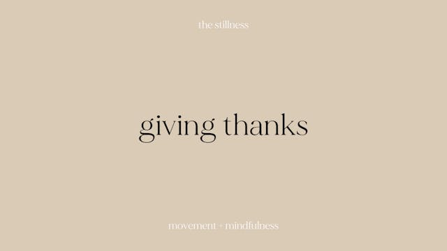 the stillness - thank you (15 mins)