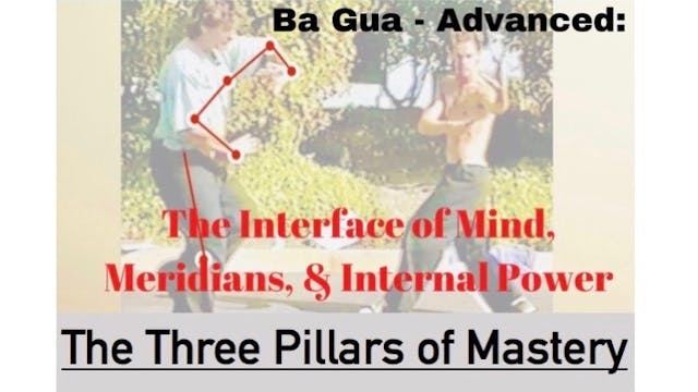 Ba Gua-Advanced -The 3 Pillars of Mastery