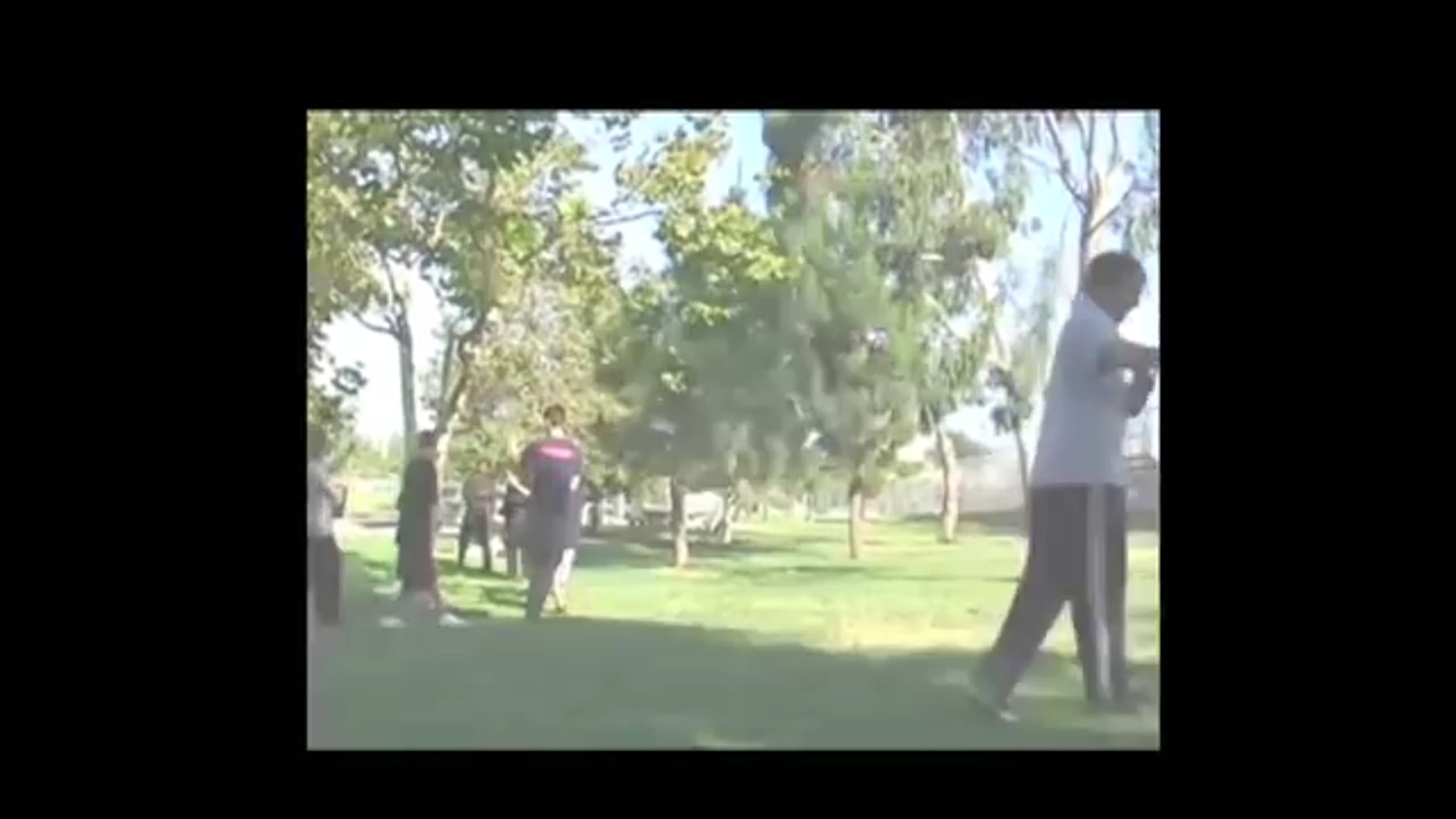 ba gua - overview of John Bracy's teachers and senior students