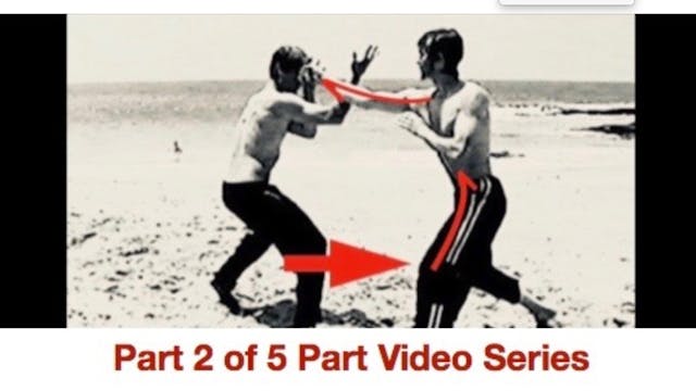 Pt 2 Bio-energetic Secrets: Force & Counterforce
