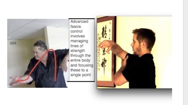 Fascia-Internal Strength & Connection Training