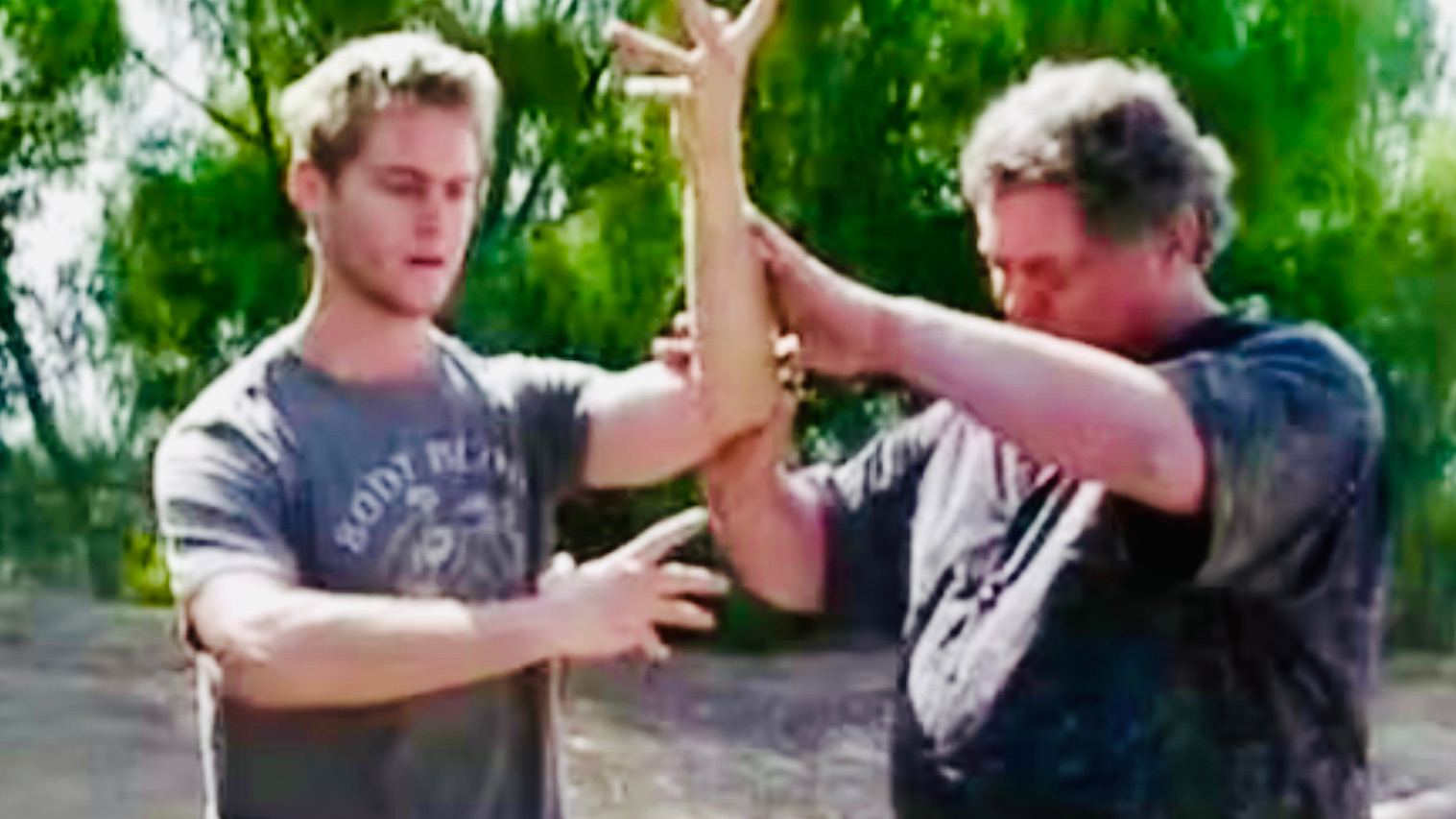 ba gua + I.M.A. SUBSCRIPTION