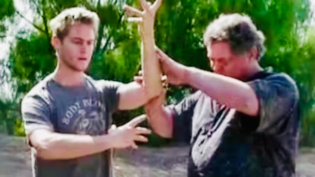 Ba Gua + IMA Monthly Subscription