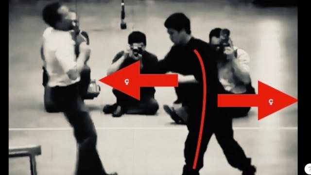 part 2 of 5: Bio-energetic secrets of the Internal martial arts