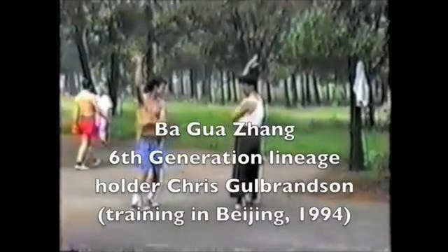 f-Chris Gulbrandson ba gua demo-96