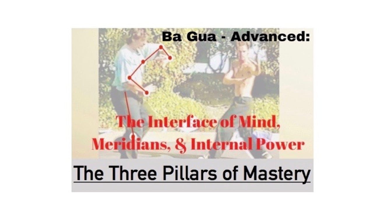 Ba Gua: Advanced: The 3 Pillars of Mastery