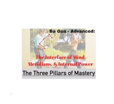 Ba Gua: Advanced: The 3 Pillars of Mastery