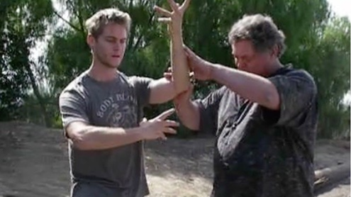 ba gua intermedate- strength tensegrity n connection training 