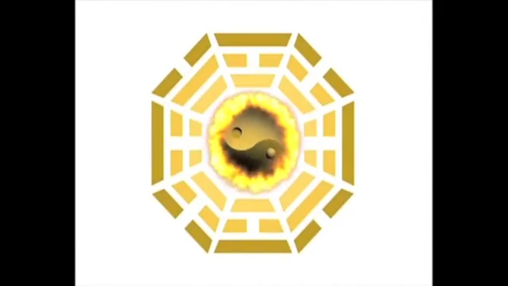 cuts from Advanced Ba Gua single change and close combat