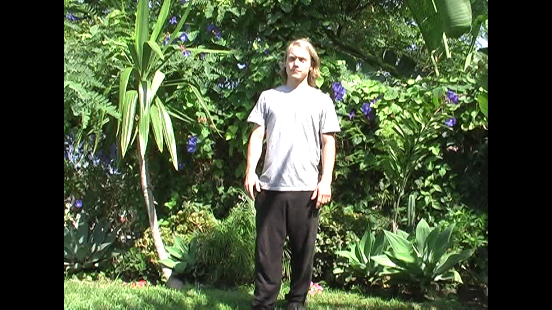  tai chi principles test
