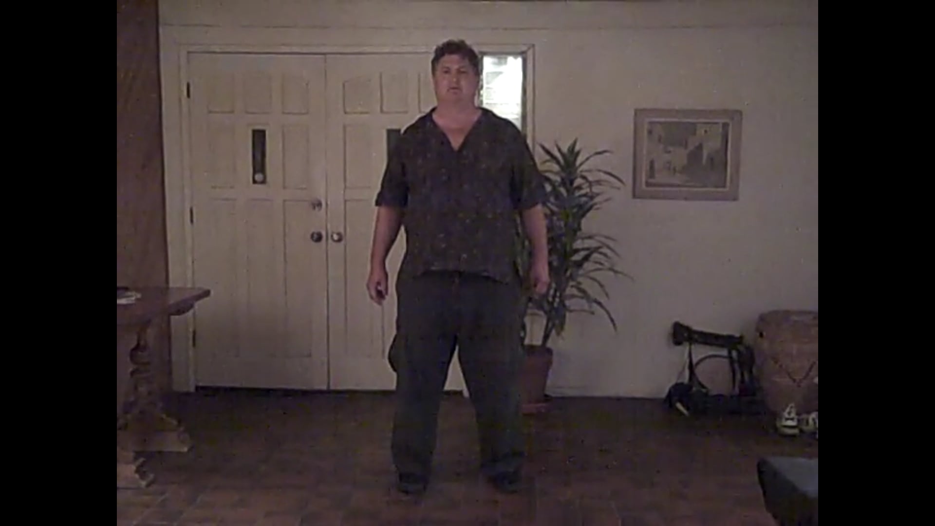 Tai Chi: Lvl Beginnier 1st section by JB 