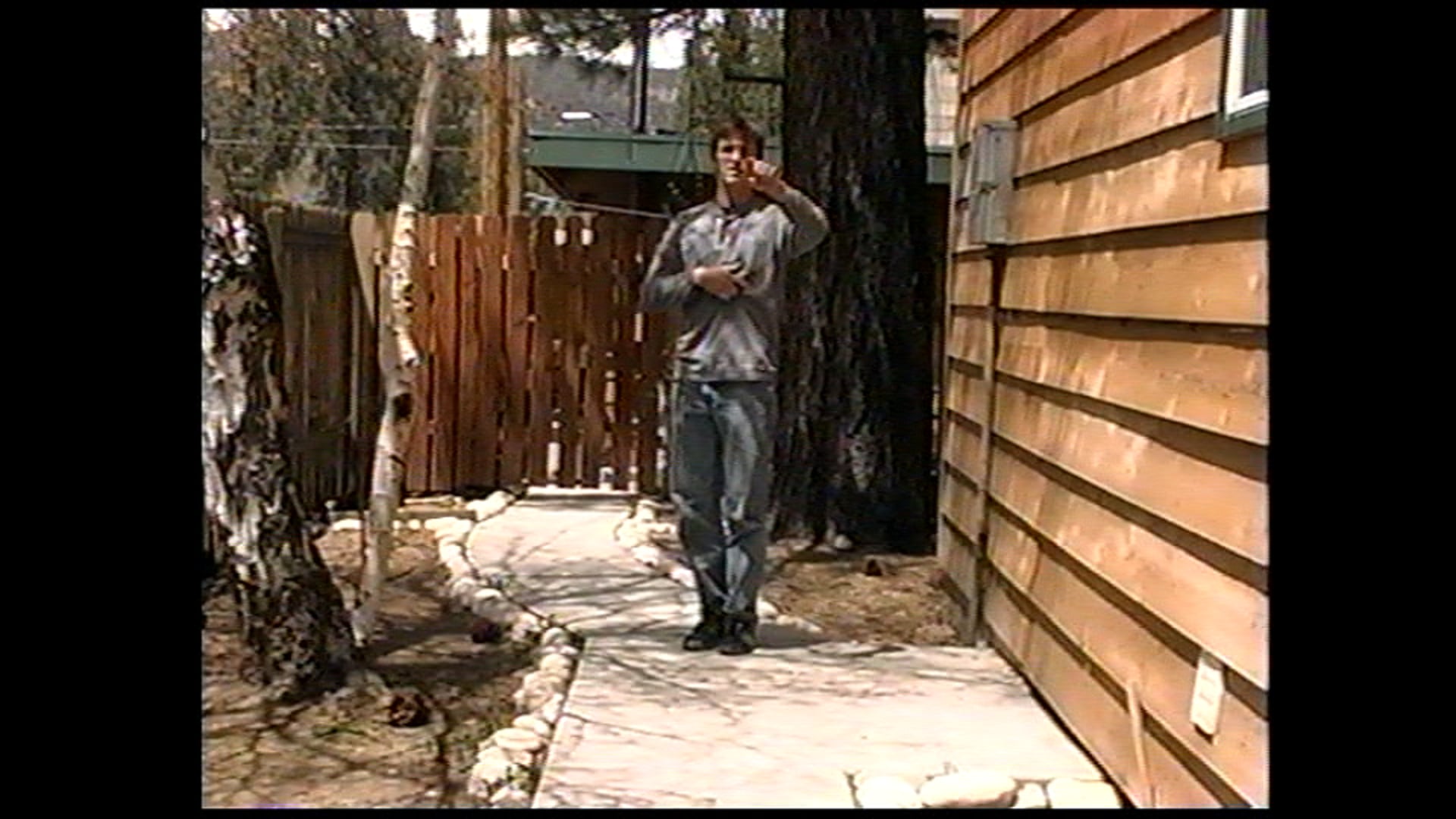 Hsing-I Advanced (Zack) Animal Forms - plus some Mtn cabin BG