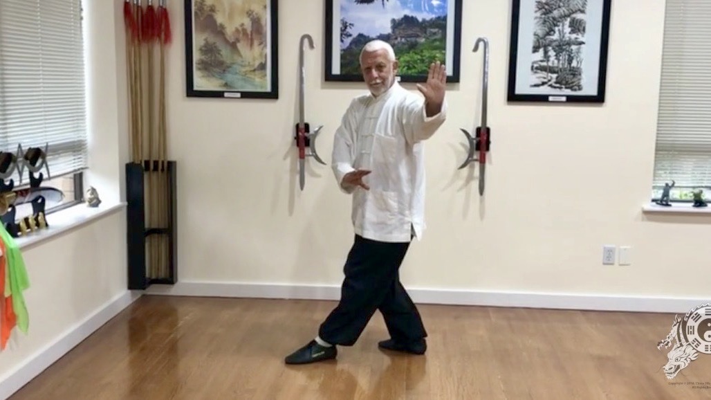 5   Bagua Zhang   The Chopping Palm          BG 5