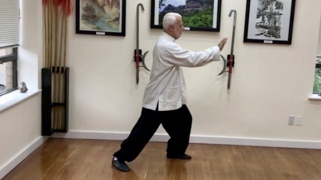 9   Tai Chi Chuan   Stopping The Drag...