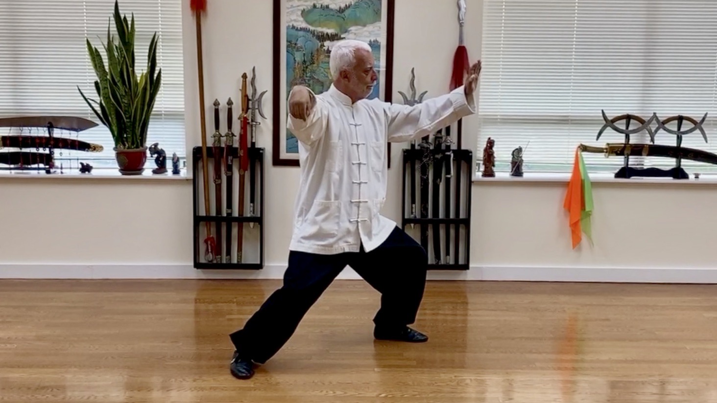 5  Tai Chi Chuan  Traditional Wutang 54 Movement Form  Part-V     4WT-5