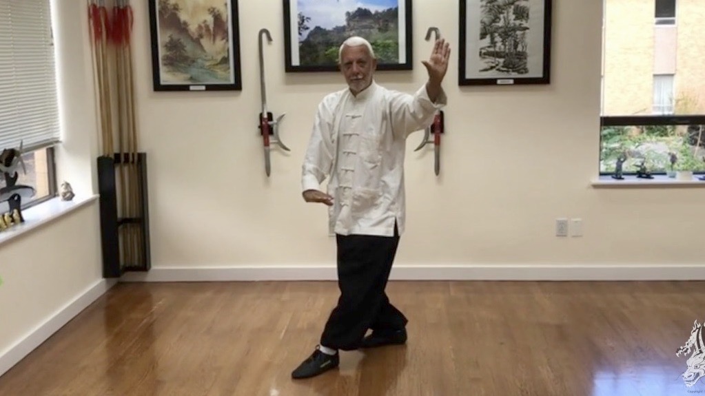 Bagua Zhang Digital Lessons Series II