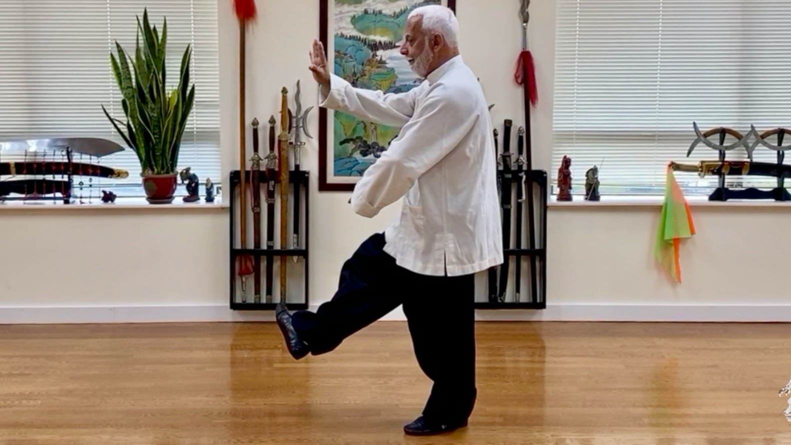 11  Hsing I Chuan Traditional Wutang Long Form Part XI    4HILF-11