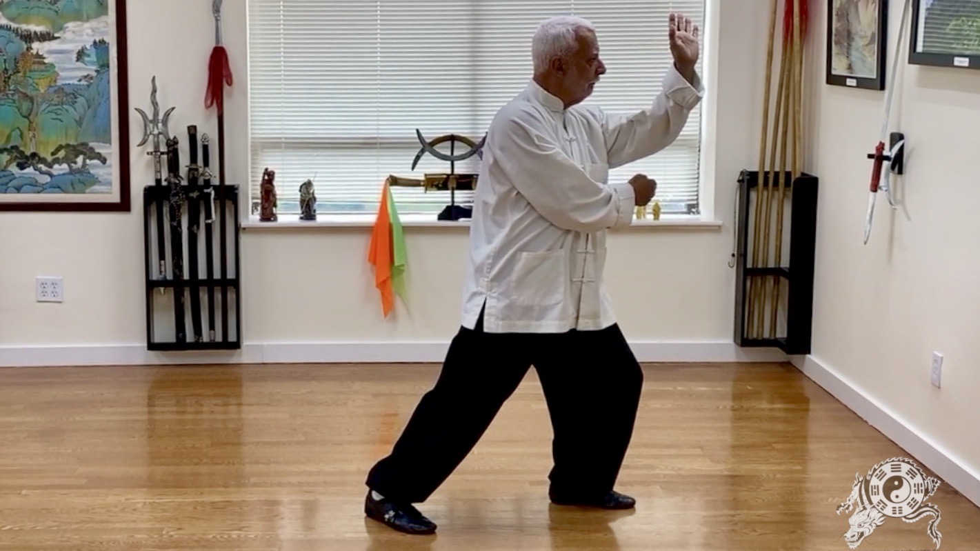 8  Tai Chi Chuan Traditional Wutang 54 Movement Form  Part VIII     4WT-8