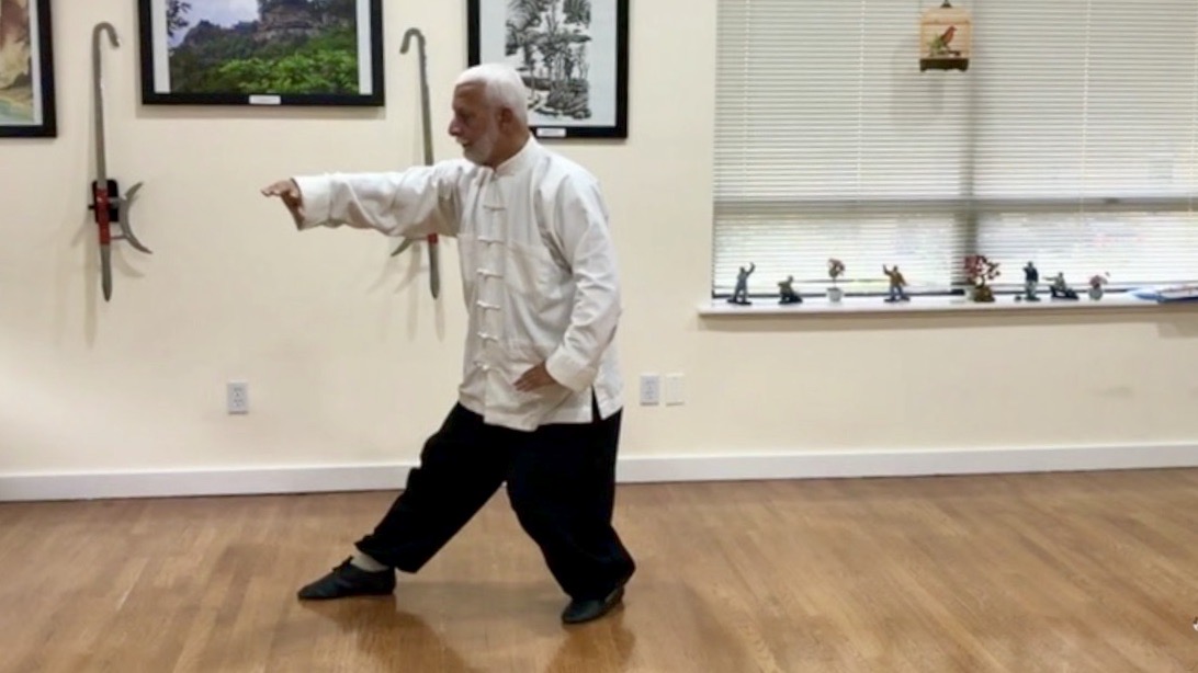 7   Bagua Zhang   The Extending Palm         BG 7