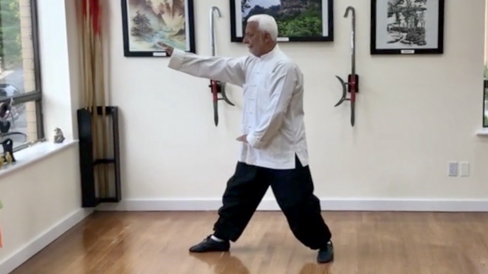 Hsing-I Chuan Digital Lessons Series I