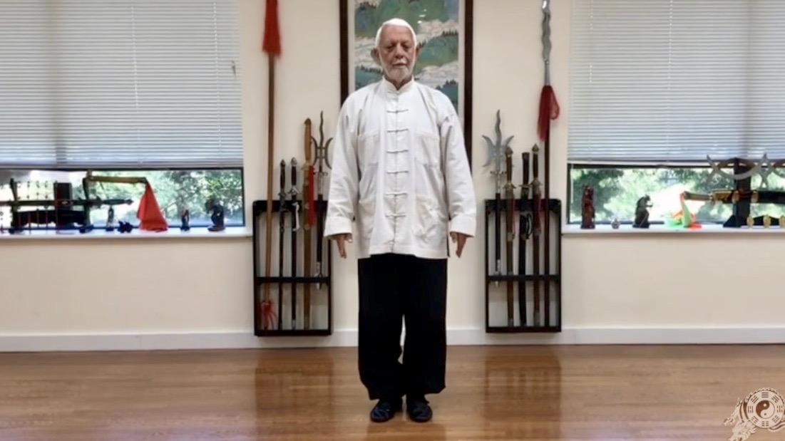 3   Tai Chi Chuan  The White Ghost Fist    (Part III)     2TCC 3