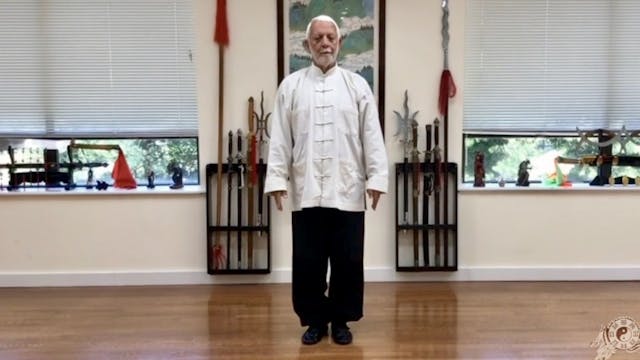 3   Tai Chi Chuan  The White Ghost Fi...