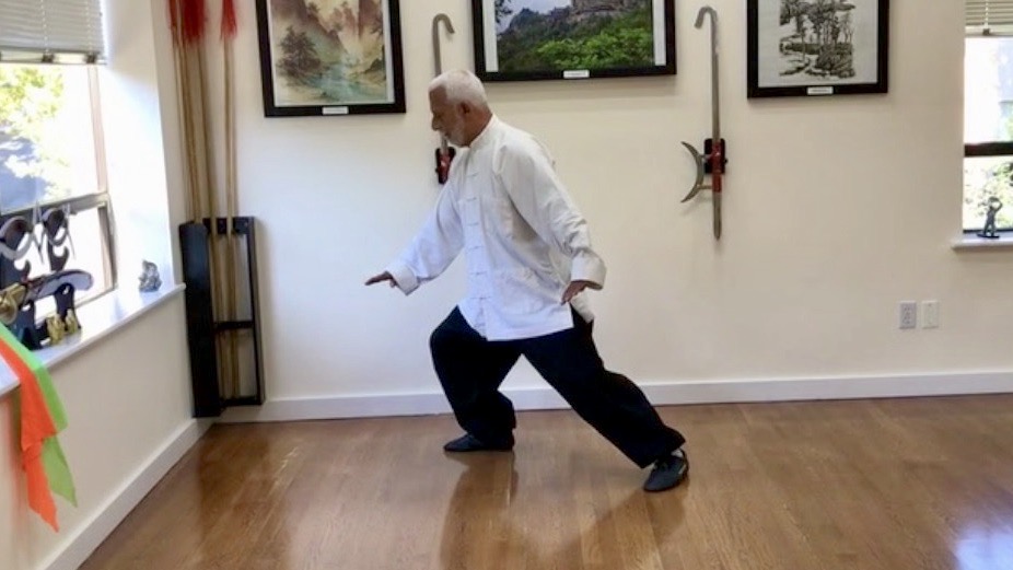 3 Tai Chi Chuan Green Snake Hiding In The Grass                TCC 3