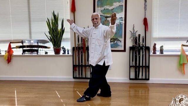 3  Bagua Zhang Formal Exercise Part I...