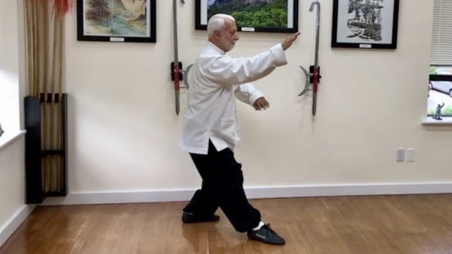 10  Tai Chi Chuan  The White Snake Sp...