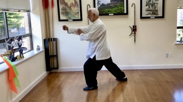 2 Tai Chi Chuan Black Tiger Steals Th...