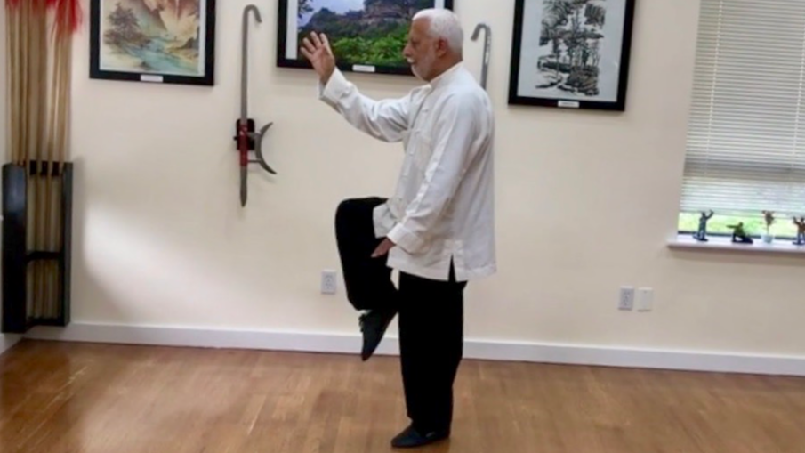 12   Tai Chi Chuan  Golden Phoenix Standing On A Rock                  TCC-12