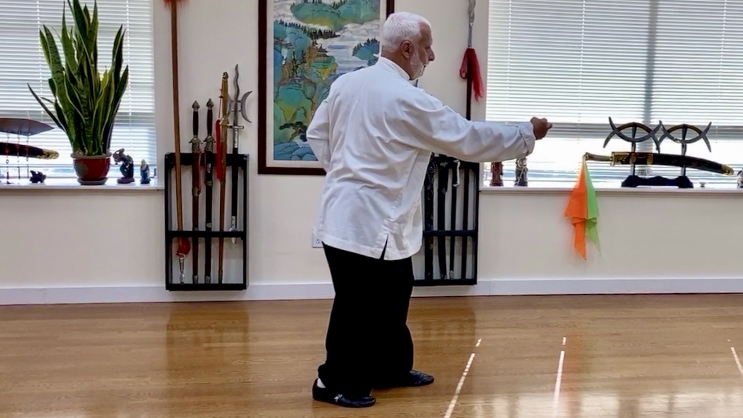 8   Hsing I Chuan Traditional Wutang Long Form Part VIII     4HILF-8