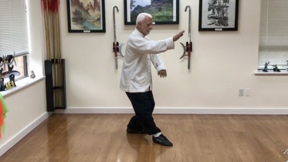 2   Bagua Zhang   The Piercing Palm            BG 2