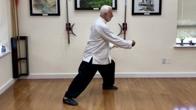 6   Tai Chi Chuan Dwarf Yu Strokes Th...