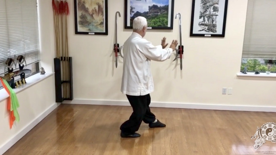 4   Bagua Zhang   The Standing Palm           BG 4