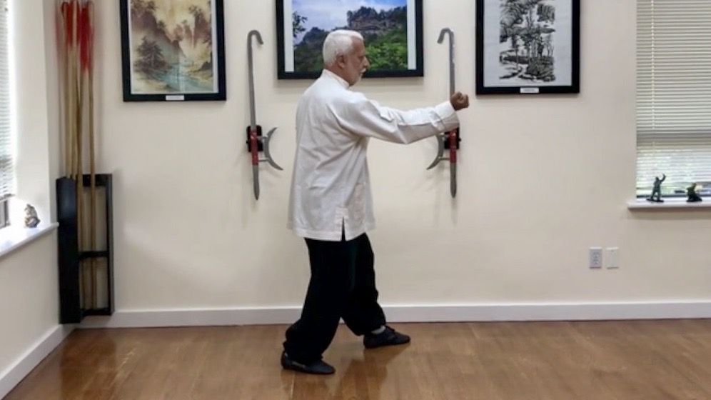 3   Hsing I Chuan  The Crossing Fist  HI 3