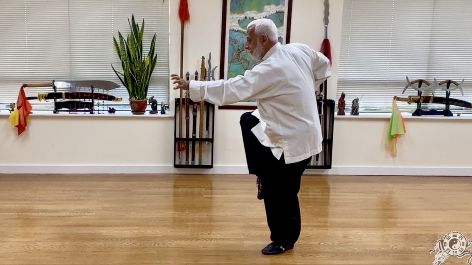 9   Hsing I Chuan Traditional Wutang Long Form Part IX      4HILF-9