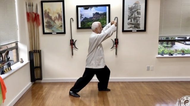 8   Tai Chi Chuan  Twin Dragon Goes O...