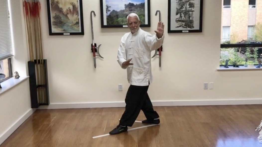1   Bagua  Zhang  Three Essentials Posture  BG 1