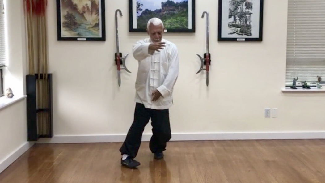 3   Bagua Zhang   The Embracing Palm        BG 3