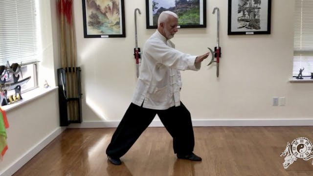 9   Bagua Zhang    The Pressing Palm ...