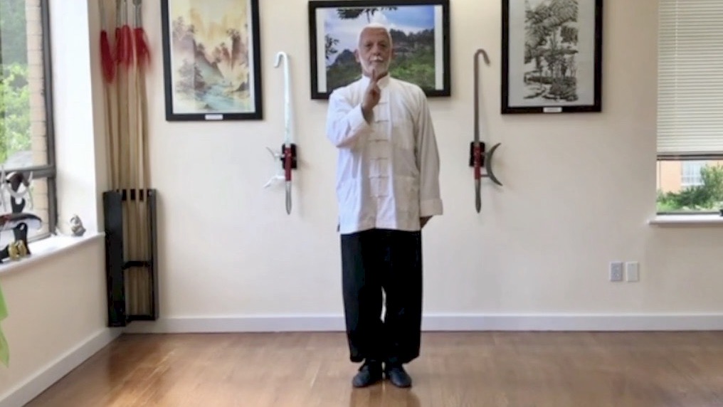 Tai Chi Chuan Digital Lessons Series I