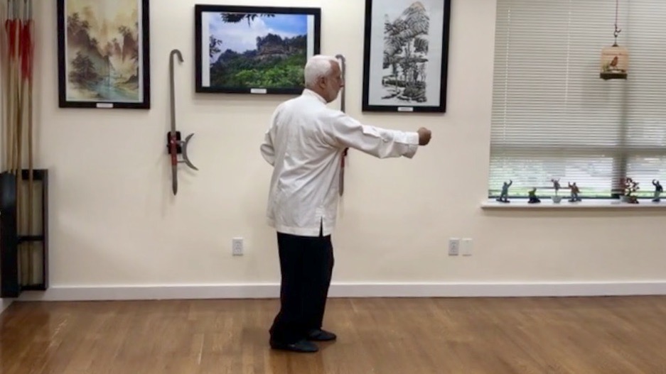 2   Hsing I Chuan  The Crushing Fist  HI 2