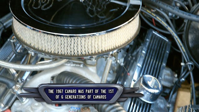 South Beach Classics: Season 4 Episode 5 (Ted-tober fest)