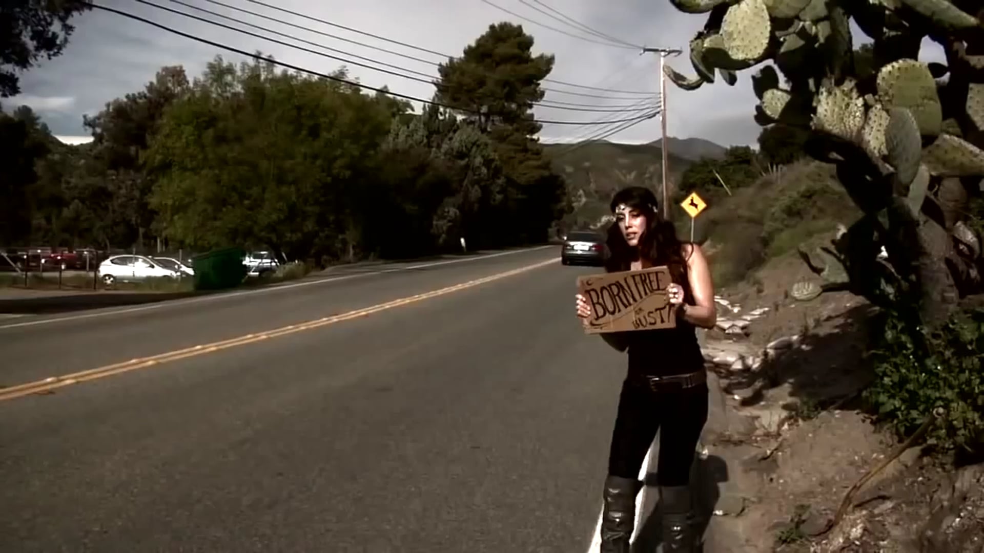 The Hitchhiker Guide to Born-Free