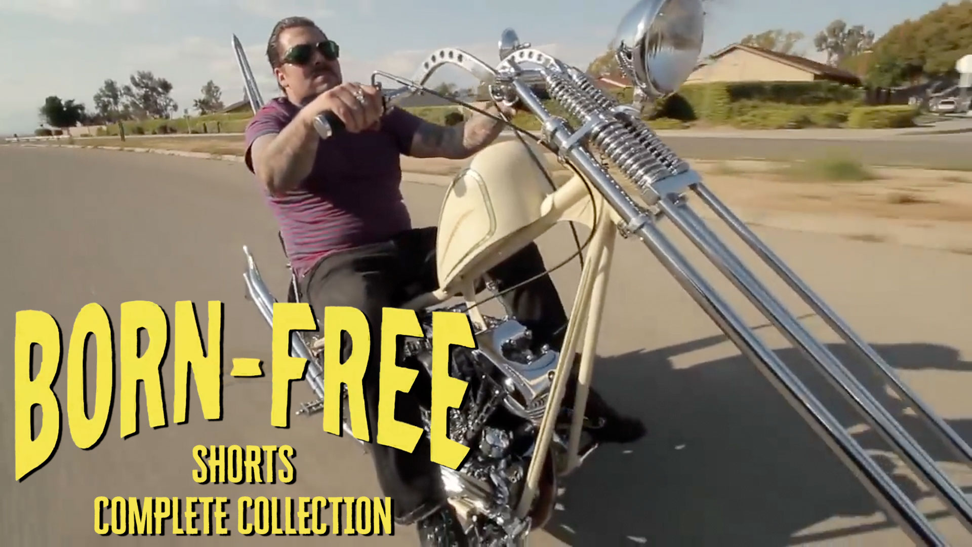 Born Free Shorts (Complete Collection)