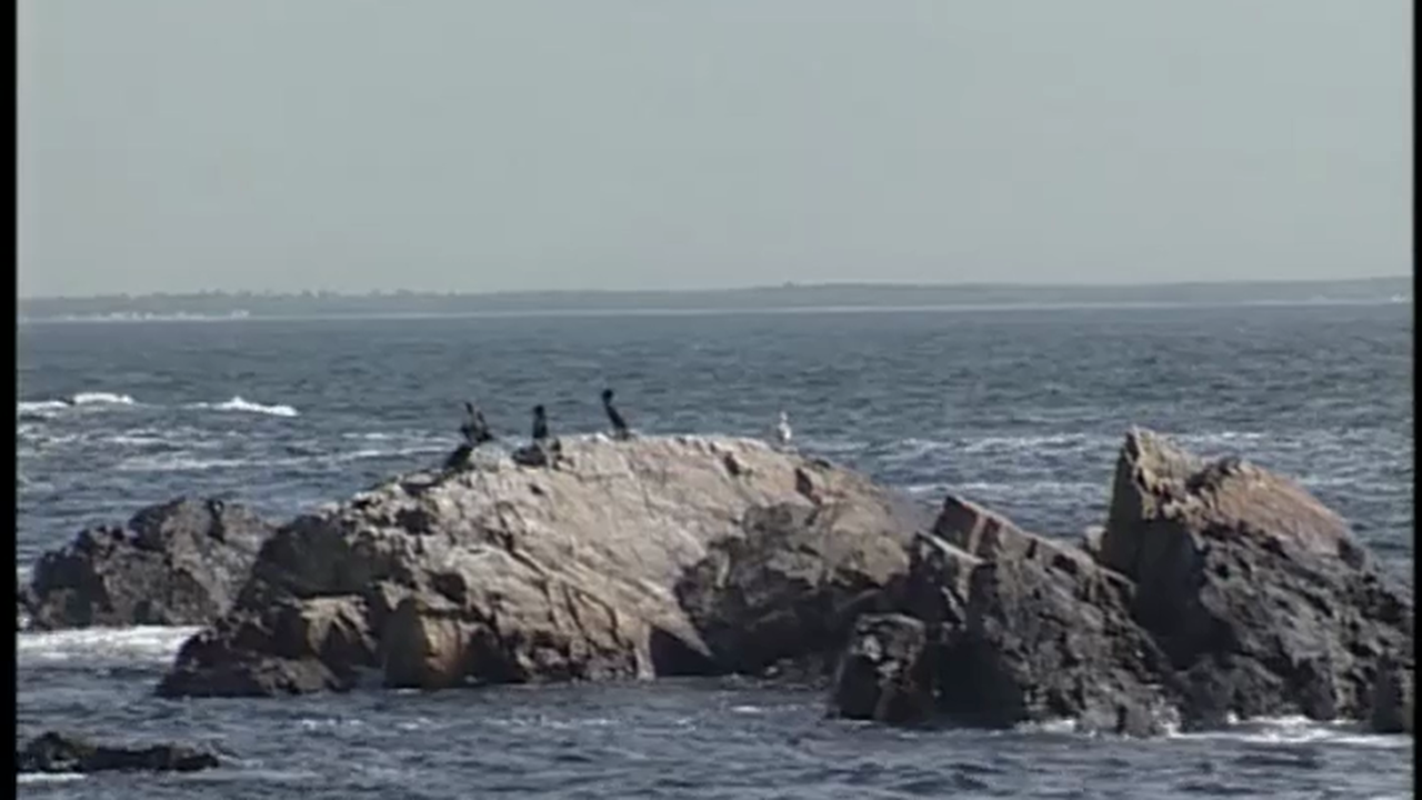 Live to Ride - Laconia