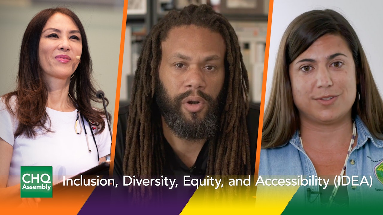 Inclusion, Diversity, Equity, and Accessibility (IDEA)