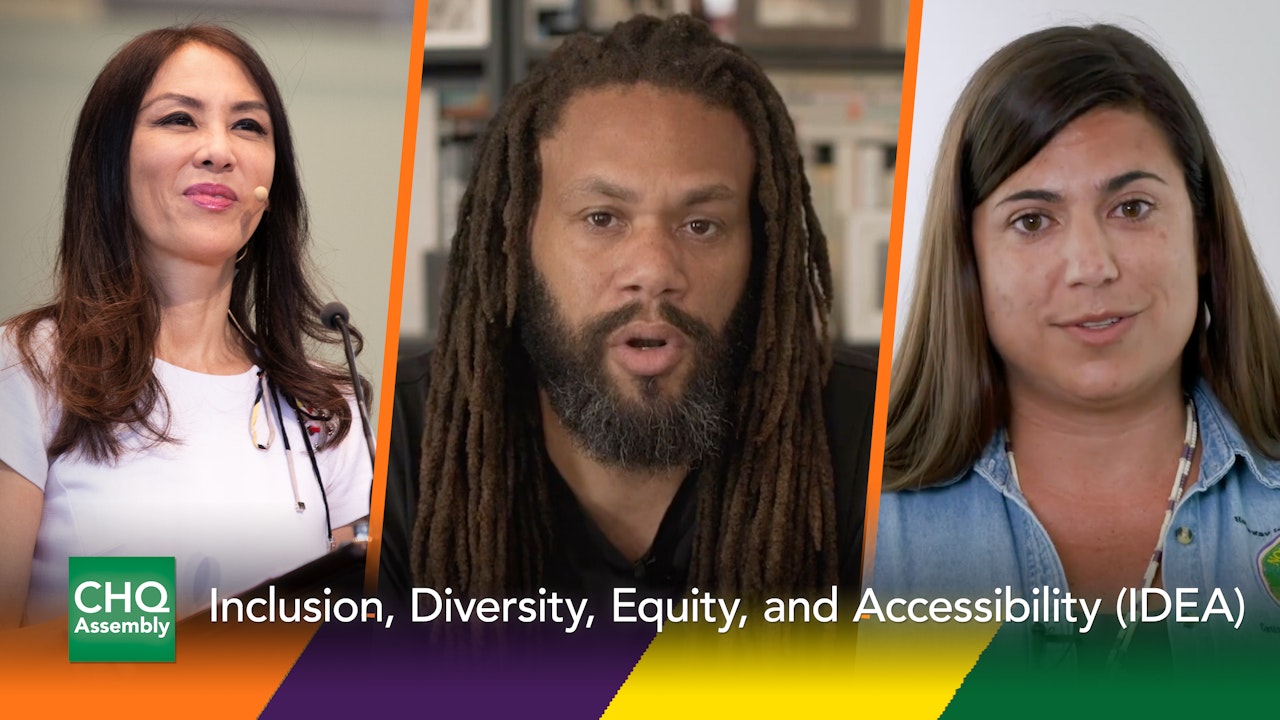 Inclusion, Diversity, Equity, and Accessibility (IDEA)